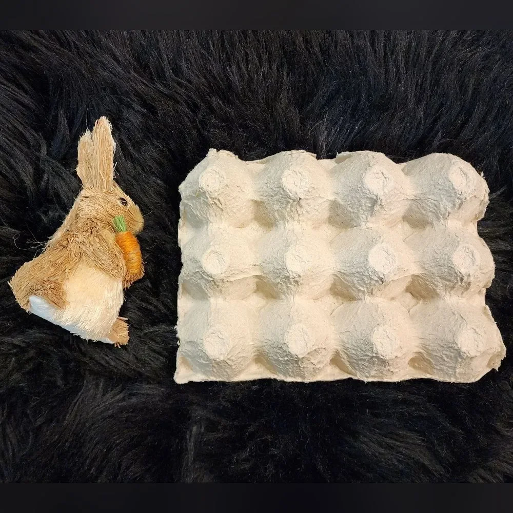 Speckled Dozen of Eggs With Carton Crate and Grass Bunny